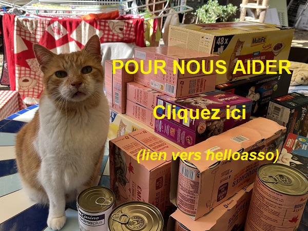 helloasso