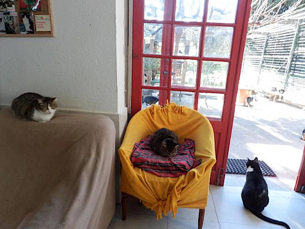 Chaterie 1 Chaterie 1
