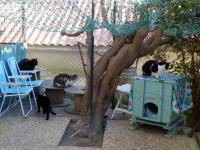 Chatterie niveau 2 (c)
