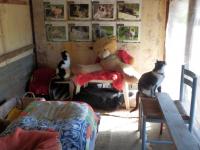 Chatterie niveau 2 (d)